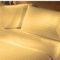Gold Stripe 240 Thread Count Egyptian Cotton Duvet Cover Set