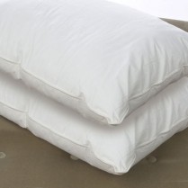 Pair of 100% Pure White Siberian Goose Down Pillows